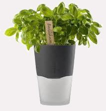 vase-evasolo-in-ty