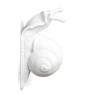 snail-wall-hook-in-ty