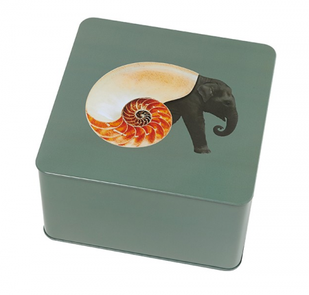 Boîte carré Shellephant - Gangzai