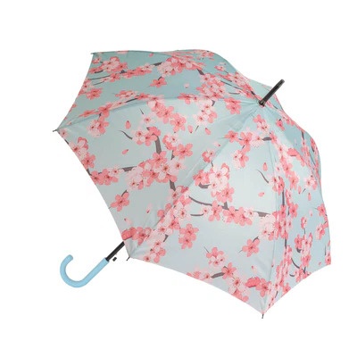 Parapluie canne pliant Sakura fleurs cerisier - Fisura