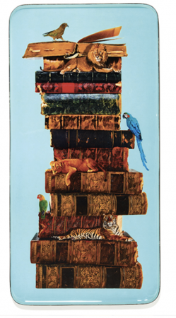 Plateau rectangulaire Anibook- Gangzai