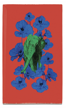 Plateau rectangulaire Poppy- Gangzai