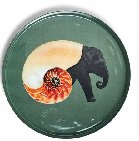 Plateau rond Shellephant