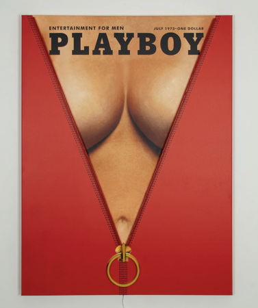 Playboy X Locomocean - Zip Cover