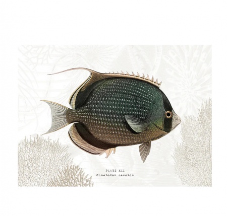 Set de table - Lardier - poisson  PODEVACHE