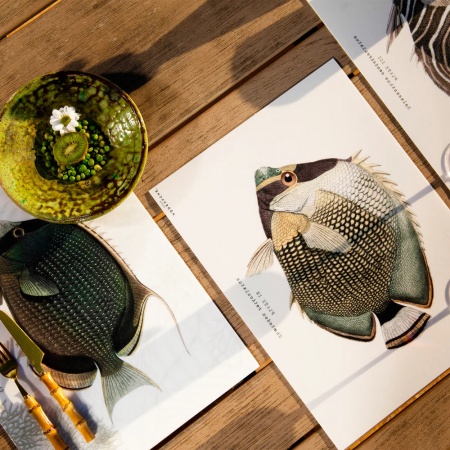 Set de table - Lardier - poisson  PODEVACHE