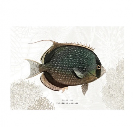 Set de table - Lardier - poisson  PODEVACHE
