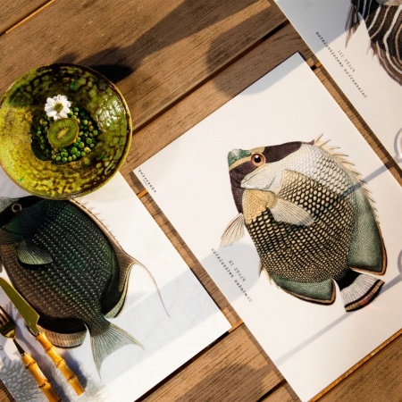 Set de table - Lardier - poisson  PODEVACHE