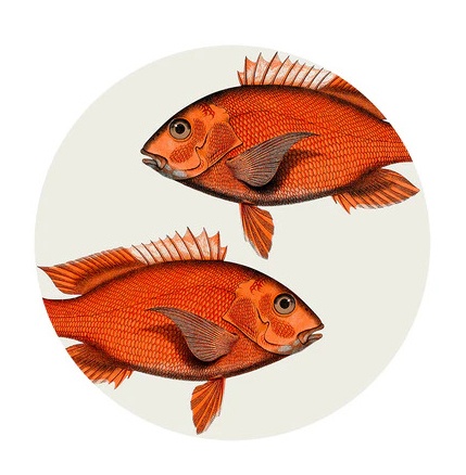 Set de table rond Pescado Corail poisson rouge - P�devache
