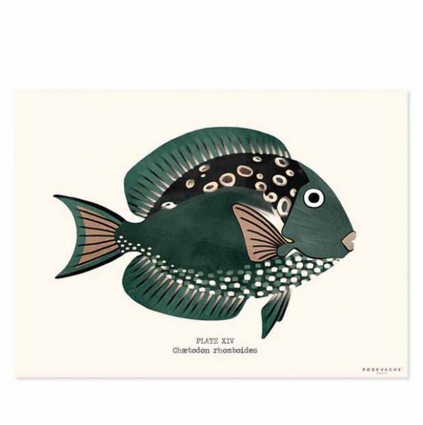 Set de table vinyle poisson Arriba - P�devache