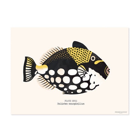 Set de table vinyle poisson Jobo - P�devache