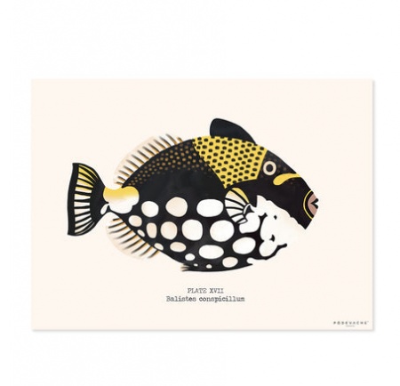 Set de table vinyle poisson Jobo - P�devache