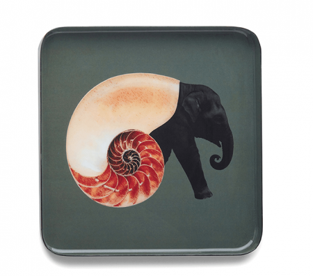Vide poche carr&eacute; SHELLEPHANT - Gangzai