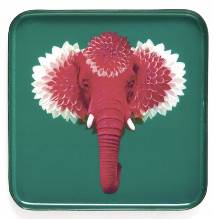 Vide poche Pachiiii- Gangzai