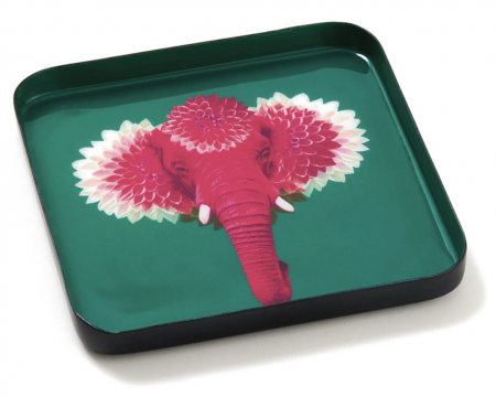 Vide poche Pachiiii- Gangzai