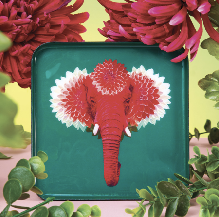 Vide poche Pachiiii- Gangzai