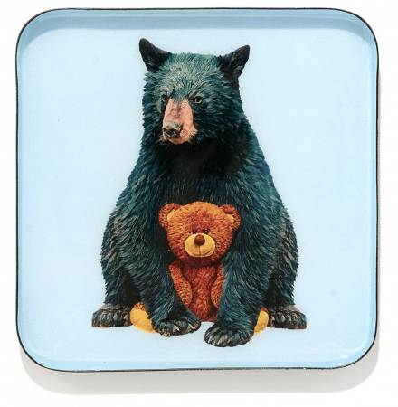 Vide poche Teddy - Gangzai