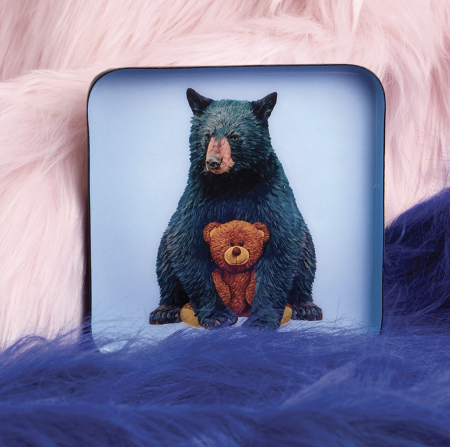 Vide poche Teddy - Gangzai