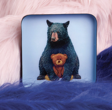 Vide poche Teddy- Gangzai